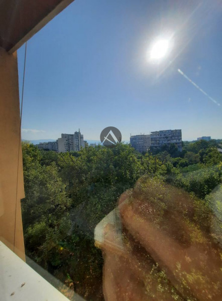 One-bedroom apartment with real square footage / p-t chicken