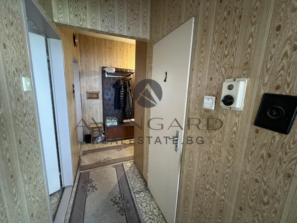 ТРИ ОТДЕЛНИ СТАИ / КАМЕЛА